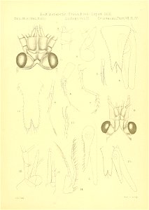 n394_w1150