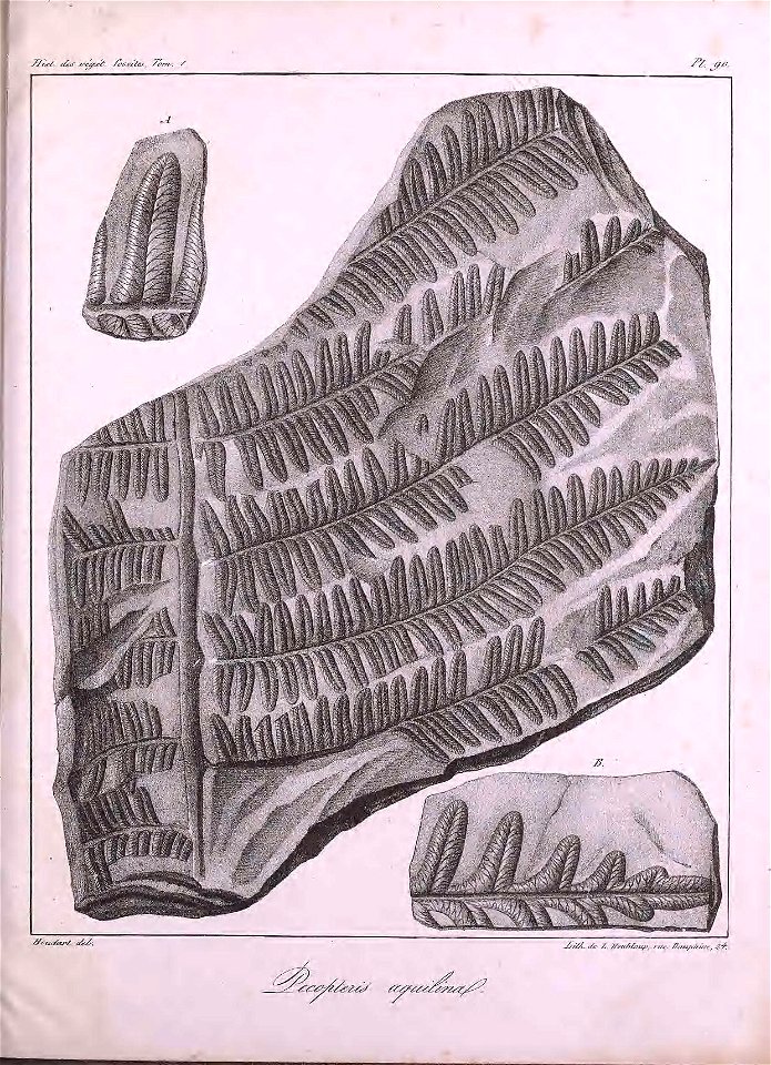 n506_w1150