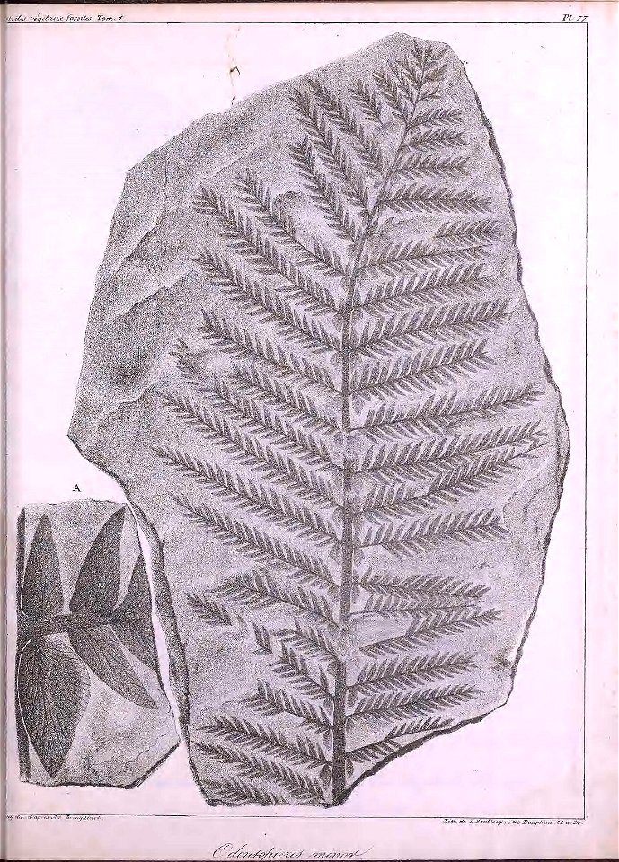 n476_w1150