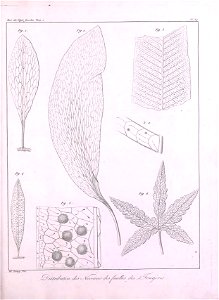 n386_w1150