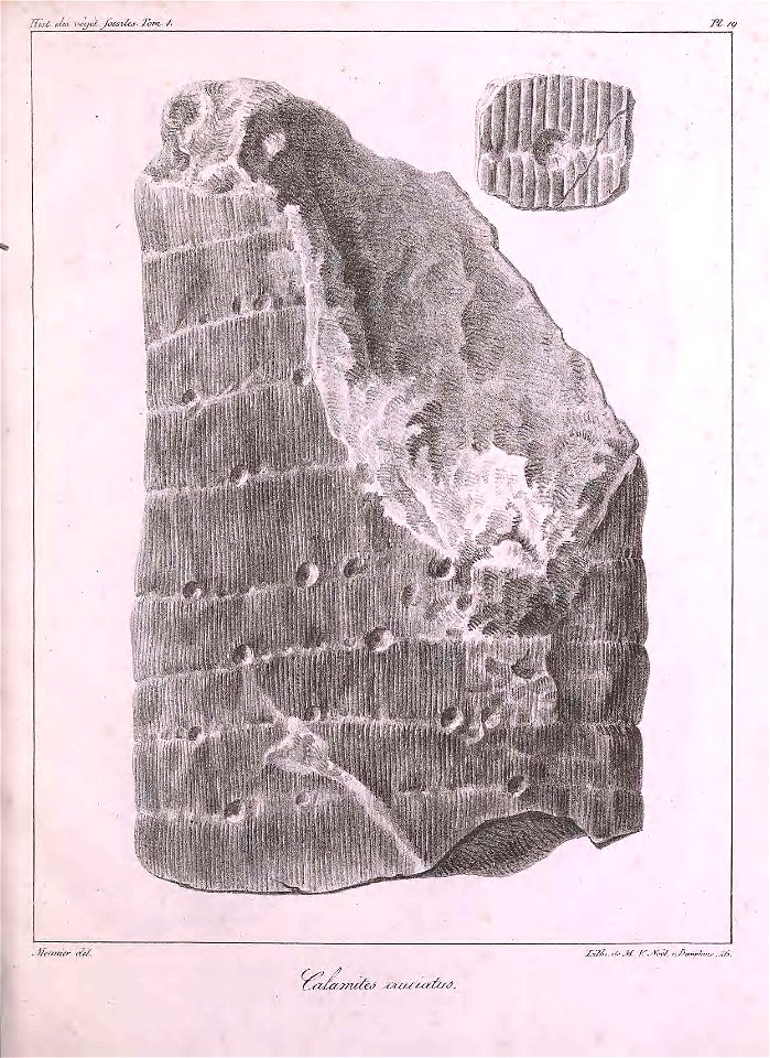 n356_w1150