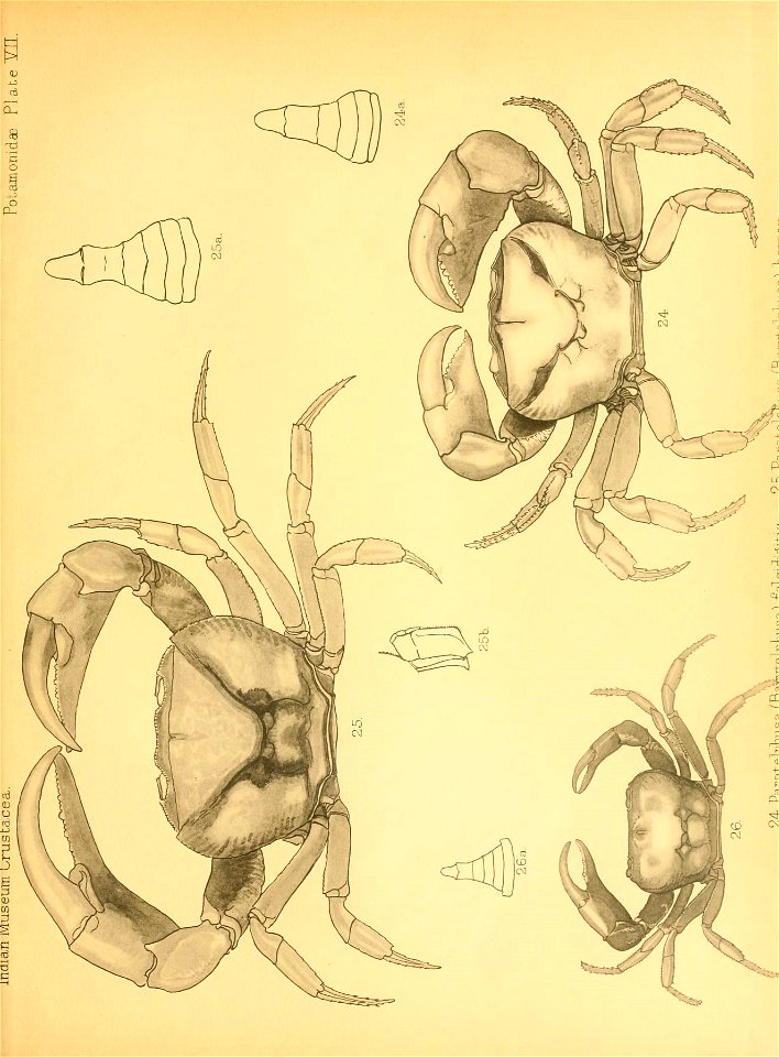n162_w1150