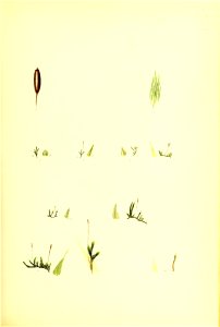n132_w1150