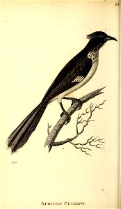 n179_w1150