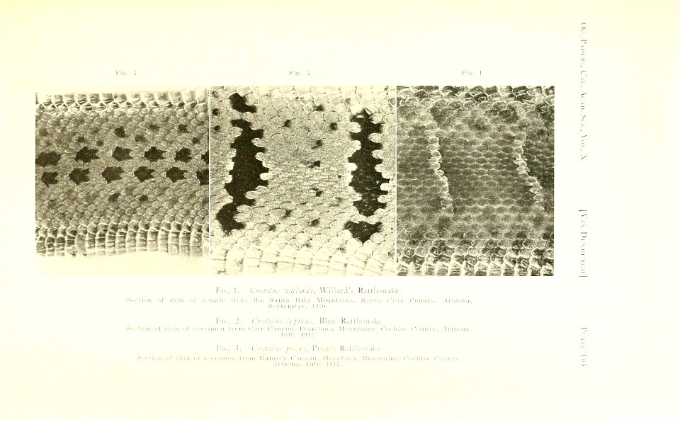 n394_w1150