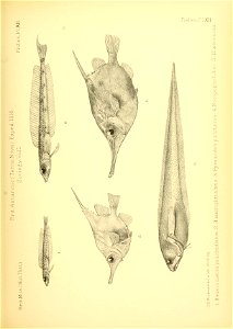 n98_w1150