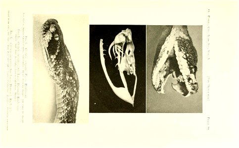n366_w1150