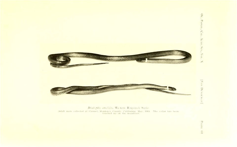 n46_w1150