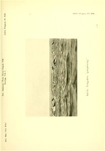 n158_w1150