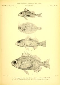 n96_w1150
