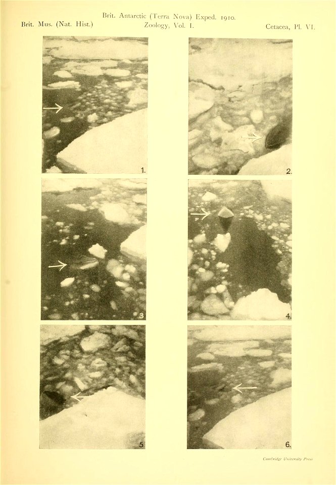 n240_w1150