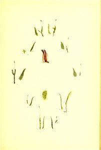 n174_w1150
