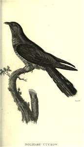 n142_w1150
