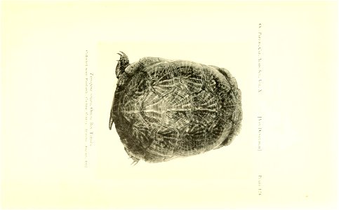 n508_w1150