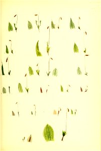 n58_w1150