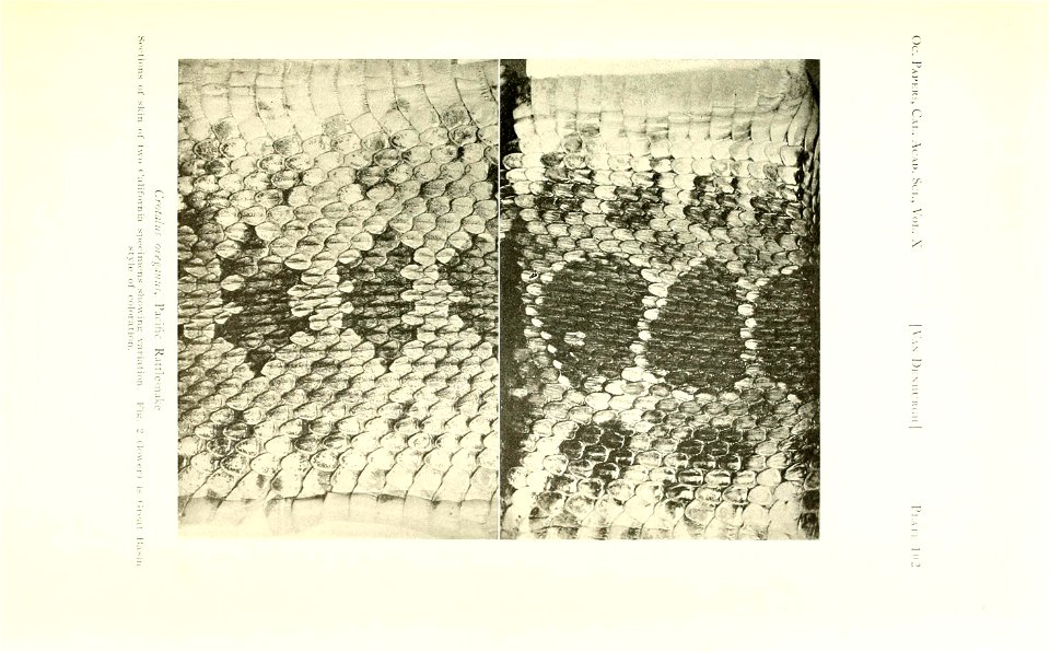 n382_w1150