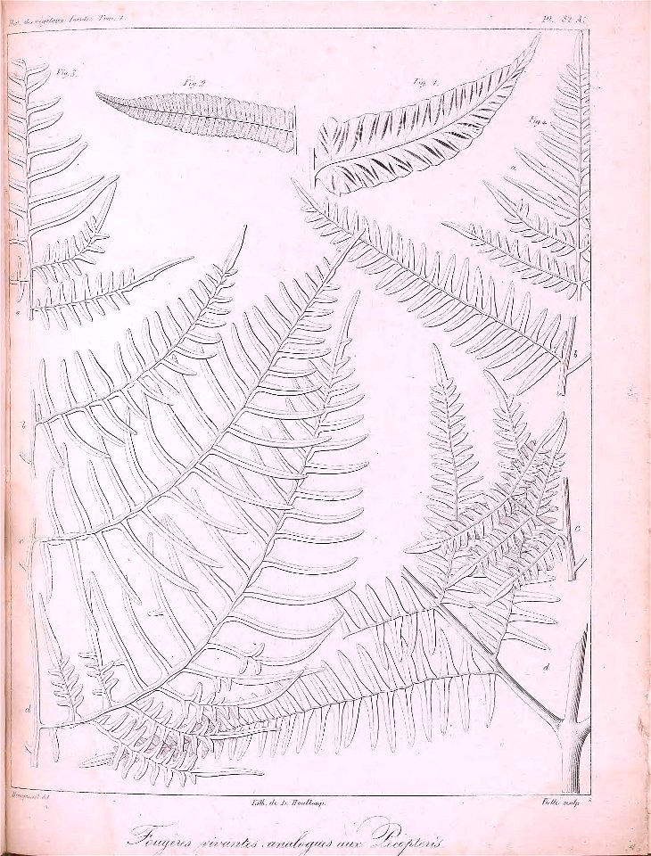 n488_w1150