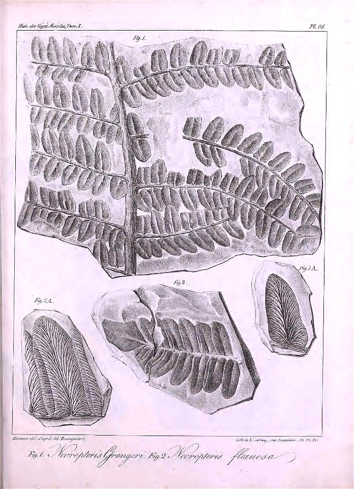 n458_w1150