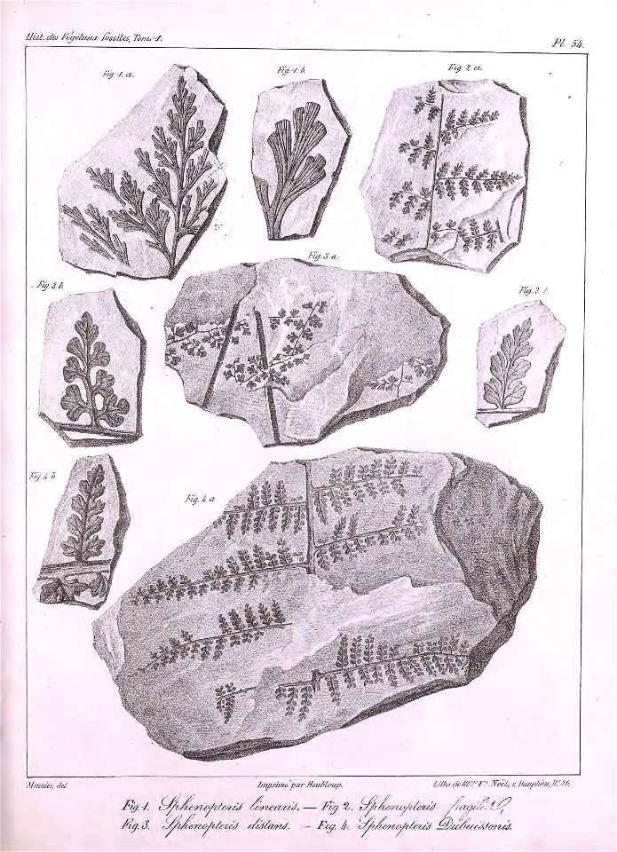 n428_w1150