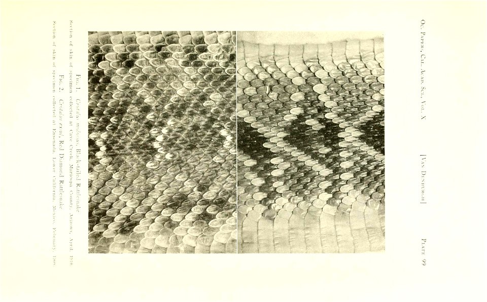 n370_w1150