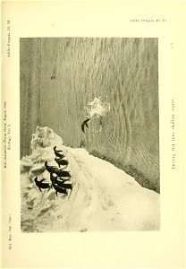 n154_w1150