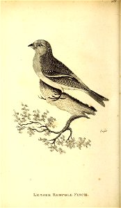 n693_w1150