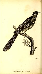 n159_w1150