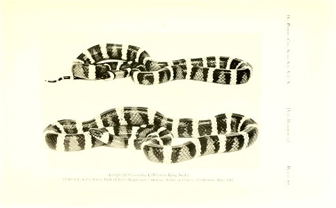 n184_w1150