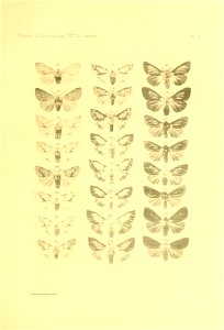 n140_w1150