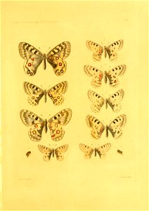 n42_w1150