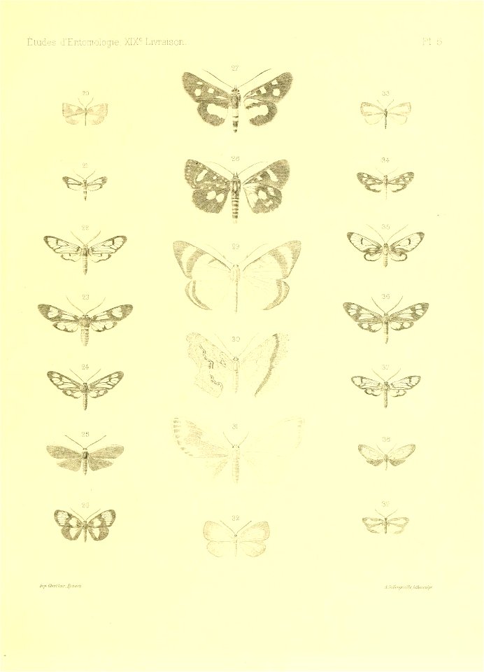 n68_w1150