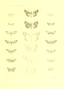 n68_w1150