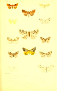 n112_w1150