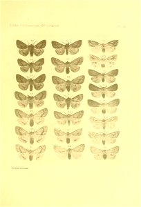 n144_w1150