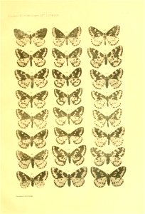 n186_w1150