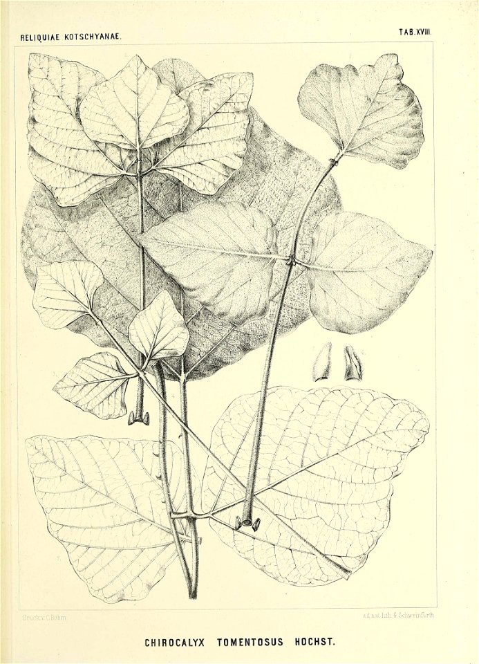 n568_w1150