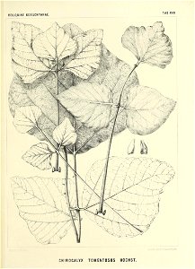 n568_w1150