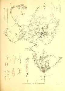 n164_w1150