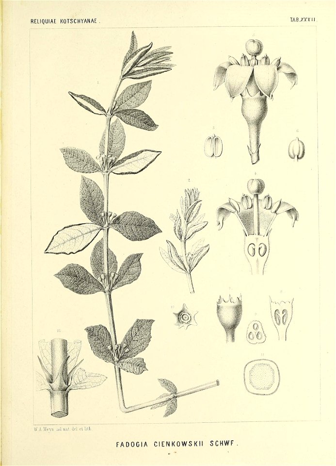 n596_w1150