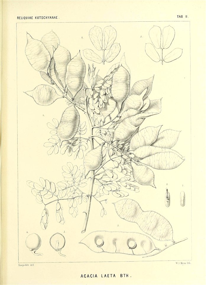 n536_w1150