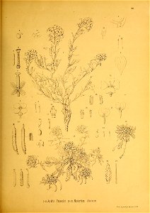 n192_w1150