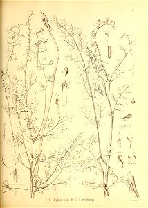 n162_w1150