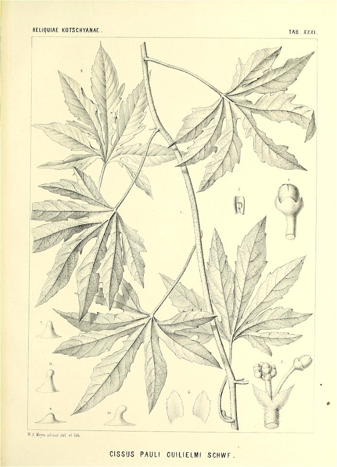 n594_w1150
