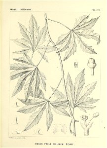n594_w1150