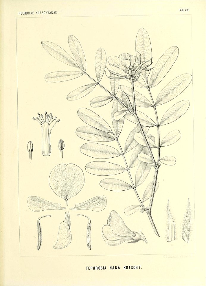n564_w1150