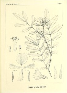 n564_w1150