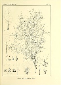 n80_w1150