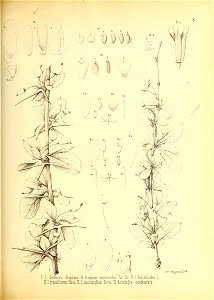 n156_w1150