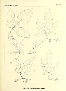 n588_w1150