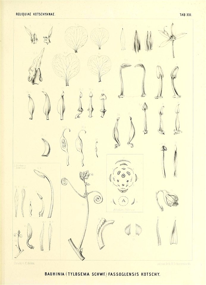 n558_w1150
